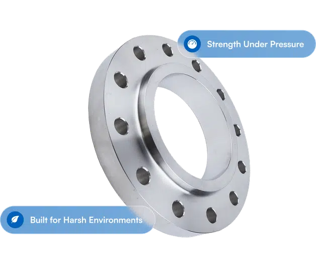 flange-basis